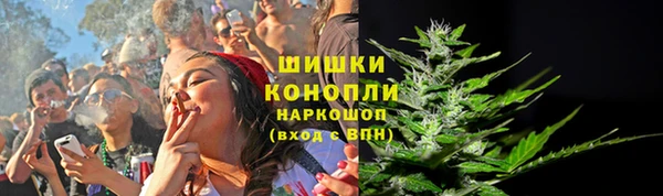 стаф Карпинск
