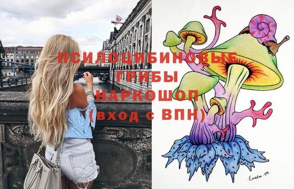 стаф Карталы