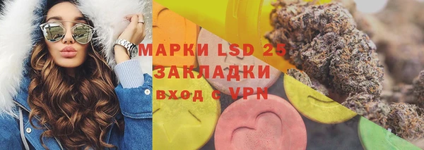 стаф Карпинск