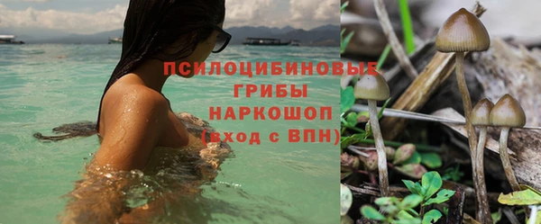 стаф Карталы