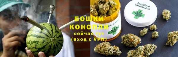 стаф Карпинск