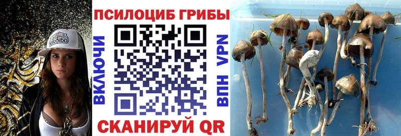 Псилоцибиновые грибы ЛСД  Купить  Хадыженск 